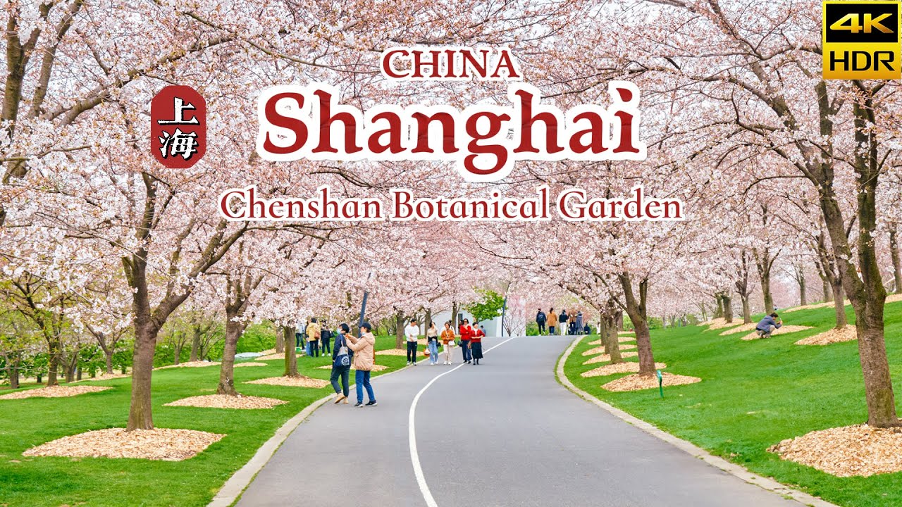 Shanghai Chenshan Botanical Garden